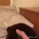 ALIVES emote for Discord