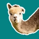 AlpacaDeal emote for Discord