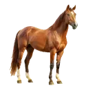 ARBYS emote for Discord