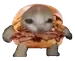arbysbriskeysandwichcat emote for Discord
