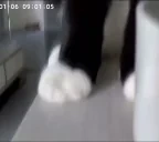 areyouwhat emote for Discord