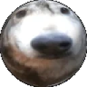 areyoustupid emote for Discord