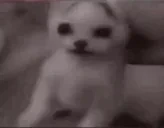 arbuz emote for Discord