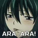 araara emote for Discord