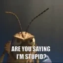 areyousayingimstupid emote for Discord