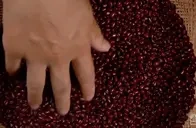 aRedBeanFeels emote for Discord