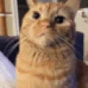 arloChomp emote for Discord