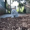 Arrive emote for Discord