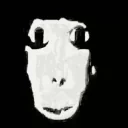 arkansas emote for Discord