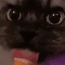 ariLick emote for Discord