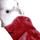 ArchWank emote for Discord