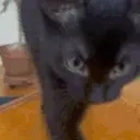 AREYOUAYABBE emote for Discord