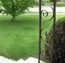 areuaflower emote for Discord