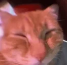 araaaaagh emote for Discord