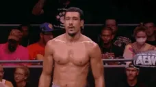 ArFox emote for Discord