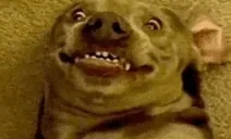 AREYOUATWAT emote for Discord