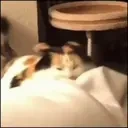 ArchfeeAttack emote for Discord