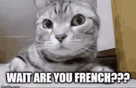 areyouFrench emote for Discord