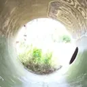 arthiRoehre emote for Discord