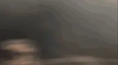 ArravSelfie emote for Discord