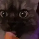 AriYummy emote for Discord