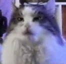 ArtyomYawn emote for Discord