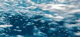 ArravSwimWIDE emote for Discord