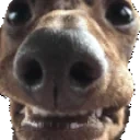 artySlide emote for Discord