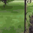 Areyouaflower emote for Discord