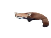 areyouredpanda emote for Discord