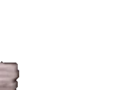 AriPizza emote for Discord