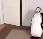 arrivalPinguin emote for Discord