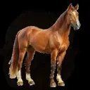 ARBYS emote for Discord