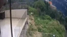 asdf emote for Discord