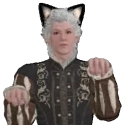 Astarioncat emote for Discord