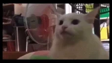 aramsansam emote for Discord