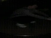 aratossikspin emote for Discord