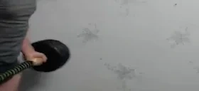 ass emote for Discord