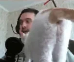 ASS emote for Discord