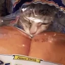 assa emote for Discord