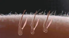 asmr emote for Discord