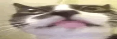 asdf emote for Discord