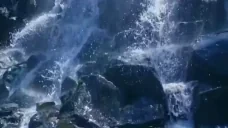 asu emote for Discord