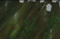 Assemble emote for Discord