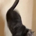 ashTWERK animated emote for Discord, Twitch and Slack