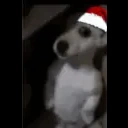 asustao emote for Discord