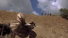 assBlaster animated emote for Discord, Twitch and Slack