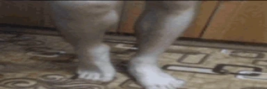 assa2 emote for Discord