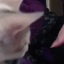 AshaBite emote for Discord