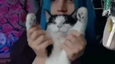 AstorD emote for Discord